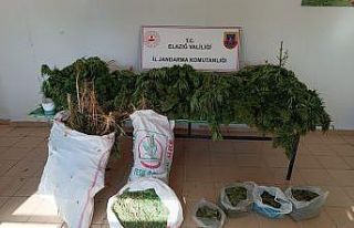 Elazığ’da 20 kilo esrar ele geçirildi: 1 gözaltı