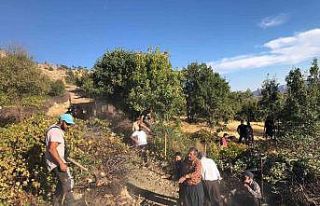Elazığ’da ağaçlık alanda yangın: Vatandaşlar...