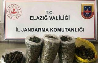Elazığ’da jandarma zehir tacirlerine nefes aldırmıyor