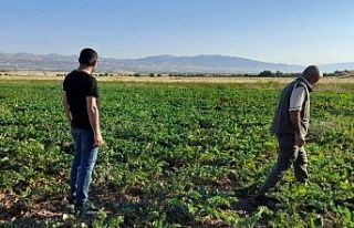 Elazığ’da kaçak avcılığın önlenmesi için...