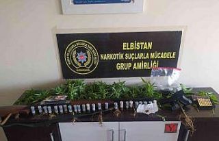 Elbistan’da saksıda kenevir yetiştirilen eve operasyon