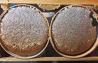 Emet’te Arıcılığı Geliştirme Projesi’nde...