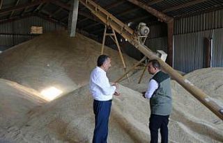 Erciş’te ‘TMO Geçici Alım Merkezi’ açıldı