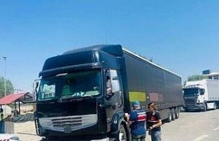 Erzincan’da ağustos ayı içerisinde kenevir, sikke,...