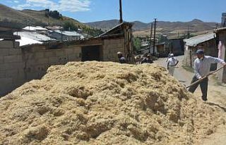 Erzincan’da çiftçinin kış hazırlığı sürüyor