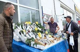 Erzincan’da tezgahlarda balık yerini aldı