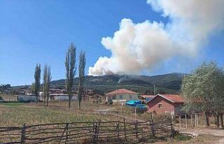 Eskişehir’de orman yangını