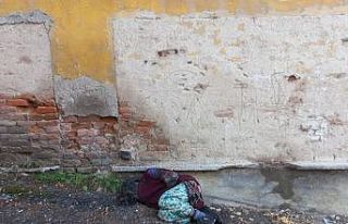 Eskişehir’de yürekleri sızlatan görüntü