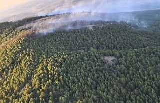 Eskişehir’deki yangında 10 hektarlık meşe ve...