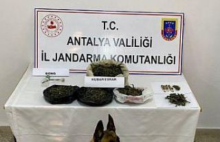 Eve yapılan baskında 1 kilogram kubar esrar ele...