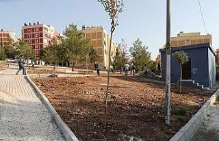 Eyyübiye kırsalında park ve yol çalışması