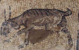 Filistinli çiftçi ağaç dikmek isterken arkeolojik...