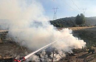 Genç ilçesindeki yangın, ormana sıçramadan söndürdü