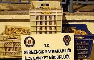 Germencik’te 450 kilogram incir çalan şüpheliler...
