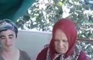 Giresun İl Tarım ve Orman Müdürlüğünden mısır...