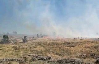 Giresun’da örtü yangını, ormana sıçramadan...