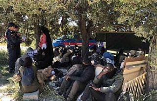 Göçmen kaçakçılarına tutuklama