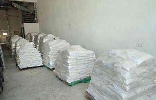 Gölcük Belediyesi’nin yetiştirdiği buğdaylar,...