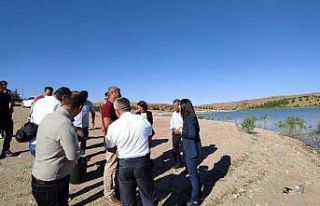 Göletlere yavru balık bırakıldı