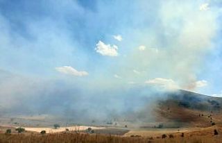 Gümüşhane’de 30 dönüm mera alanı yandı