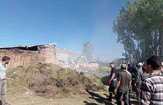 Gürpınar’da 700 bağ ot yandı