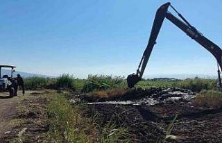 Hamzabeyli’de üreticileri rahatlatan çalışma