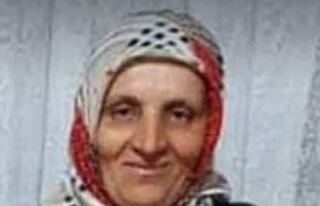 Hareket halindeki araçtan düşen vatandaş hayatını...