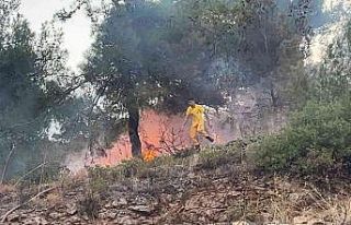 Hatay’da ormanlık alanda çıkan yangın evlere...