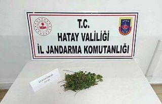 Hatay’da uyuşturucu operasyonu