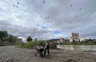 Hayatını aç hayvanları doyurmaya adadı