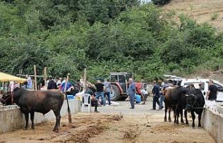 Hayvancılıkta ’Sözleşmeli Besicilik’ dönemi