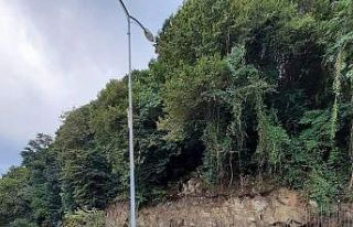 Heyelanda devrilen ağaç park halindeki aracın üzerine...