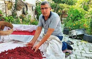 Hisarcıklı üreticinin yaptığı ekşi tarhana...