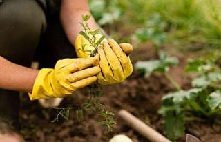 Hobi bahçesi başvuruları başlıyor