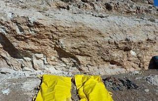 İçişleri Bakanlığı: "Nusaybin kırsalında...