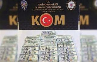 Iğdır’da dolar gasp ettiği öne sürülen şüpheli...