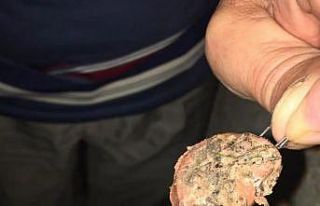 İğneleri sucuklara saplayıp köpeklere yedirmeye...