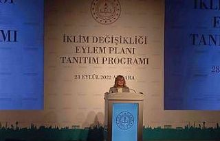 İklim Değişikliği Eylem Planı tanıtıldı