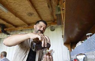 İnegöl’de bal hasadı başladı