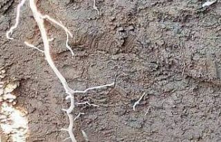 Irak’ta su kuyusu kazan adam tarihi eser buldu