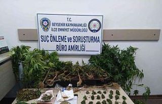 İş yerinde uyuşturucu yetiştiren şüpheli tutuklandı