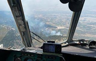 Isparta Senirkent’te orman yangını