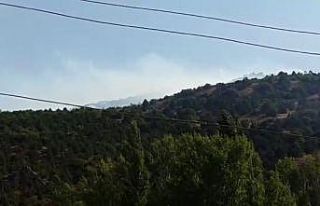 İspir’de orman yangını