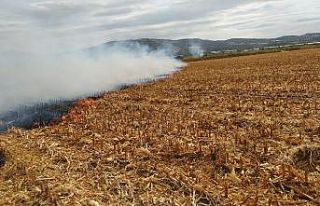 İtfaiyeden anız uyarısı
