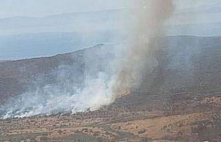 İzmir’de makilik alanda yangın
