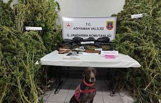 Jandarma Gerger ilçesinde uyuşturucu ele geçirdi