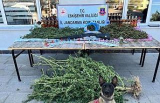 Jandarma operasyonunda 5 kilogram uyuşturucu madde...