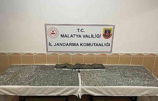Jandarmadan tarihi eser baskını