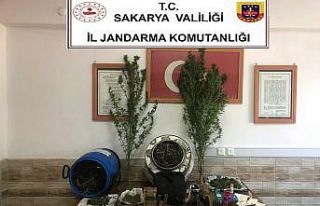 Jandarmadan uyuşturucu operasyonu: 1 gözaltı