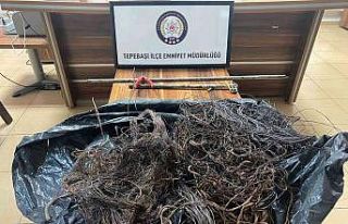 Kablo yakan 2 şüpheli şahıs yakalandı